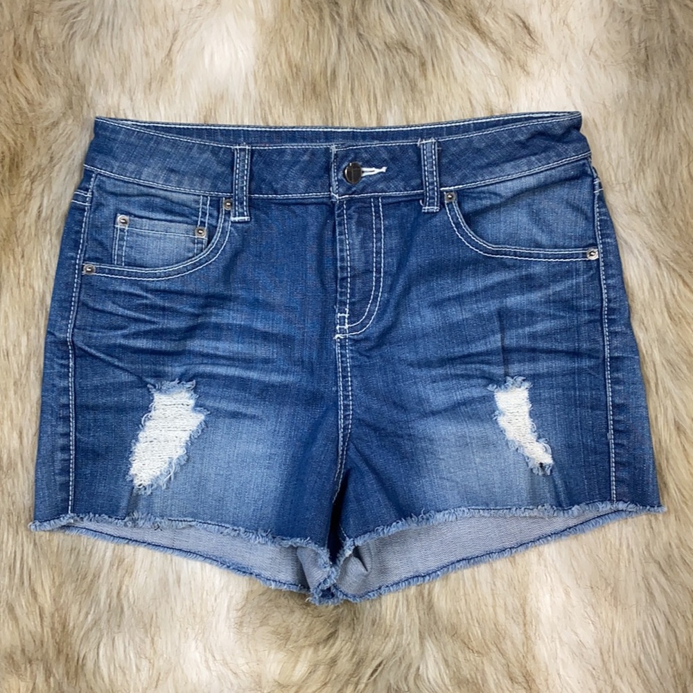Standards & Practices High-Rise Distress Raw Hem Denim Shorts, Size 29
